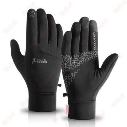 glove